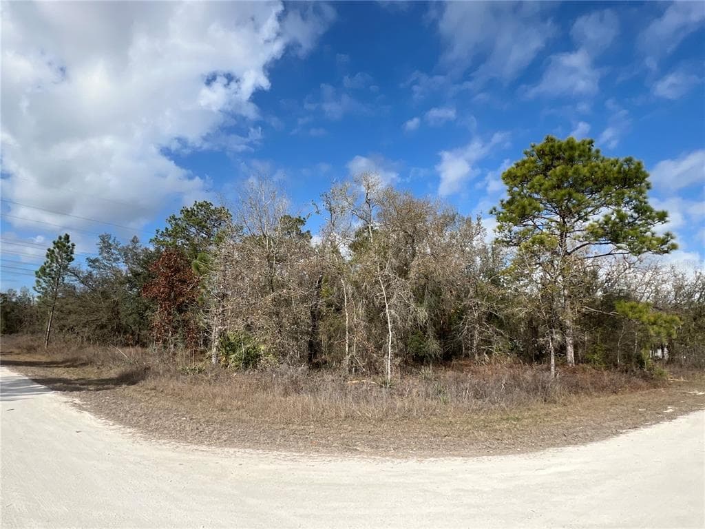 16165 COURLAN ROAD BROOKSVILLE, FL 34614