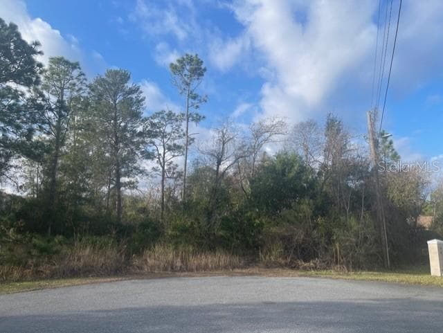 PHOEBE COURT WEEKI WACHEE, FL 34614