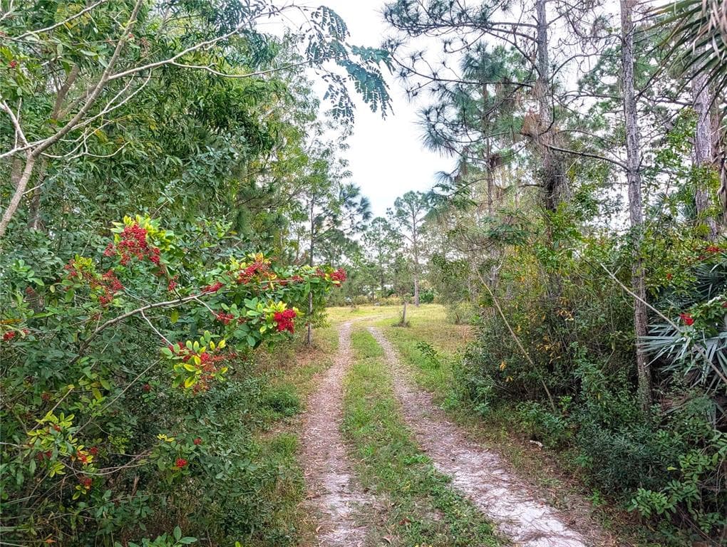 8590 130TH AVENUE FELLSMERE, FL 32948