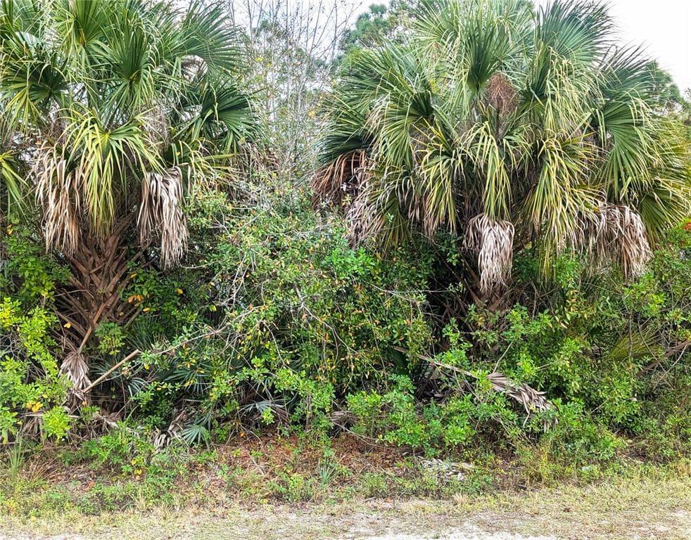 12885 86TH STREET FELLSMERE, FL 32948