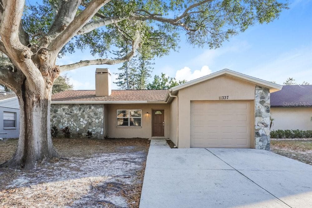 11337 BLACKBARK DRIVE RIVERVIEW, FL 33579