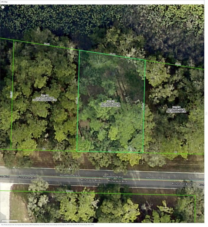 TBD RICHARDSON BOULEVARD WEBSTER, FL 33597