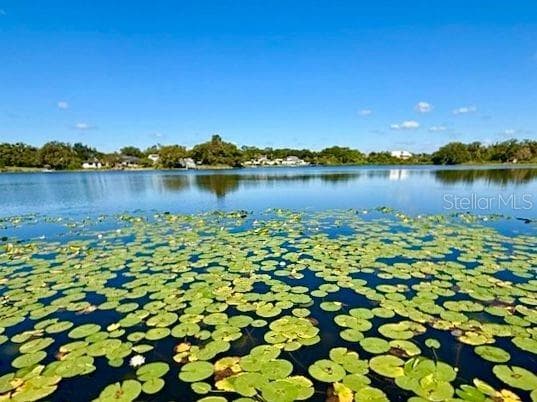 2814 W HUMPHREY STREET TAMPA, FL 33614