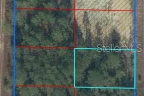 TBD NE 148TH COURT WILLISTON, FL 32696