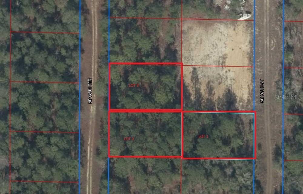 TBD NE 147TH TERRACE WILLISTON, FL 32696
