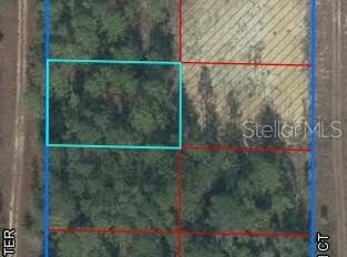 TBD NE 147TH TERRACE WILLISTON, FL 32696