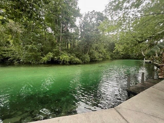 6120 WAVERLY ROAD WEEKI WACHEE, FL 34607