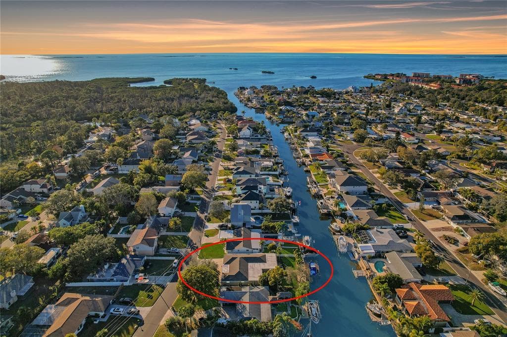 335 CROSSWINDS DRIVE PALM HARBOR, FL 34683
