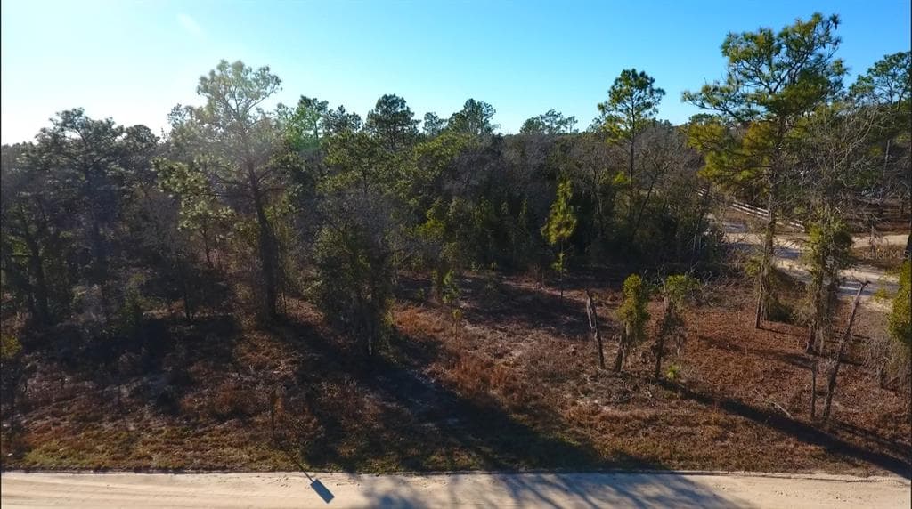 2150 SE 137TH COURT MORRISTON, FL 32668