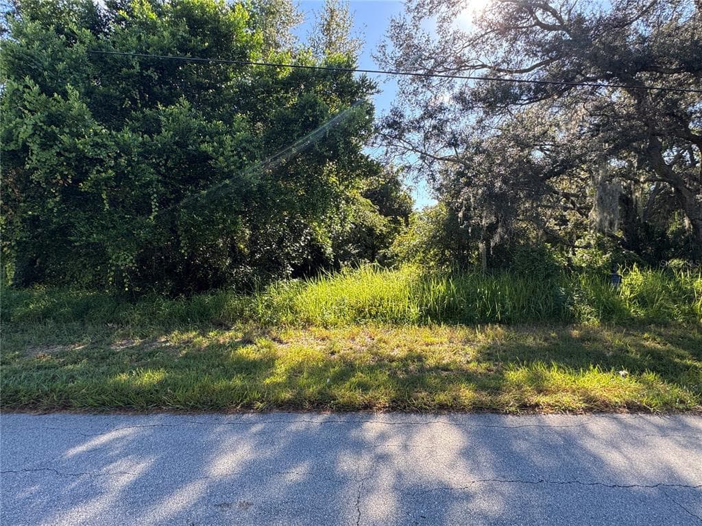 2040 N MORNINGSIDE ROAD AVON PARK, FL 33825