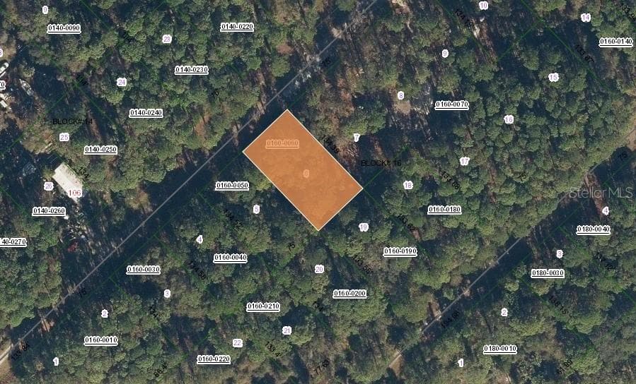 111 SE 3RD STREET GEORGETOWN, FL 32139