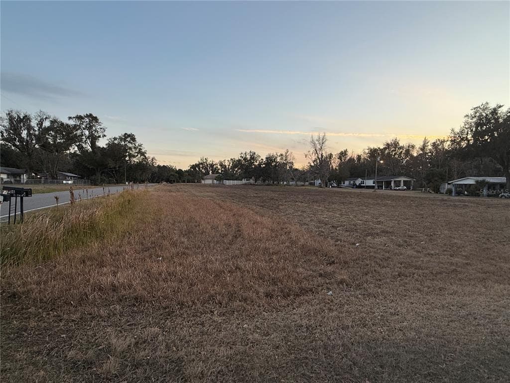 HORTON PLANT CITY, FL 33567