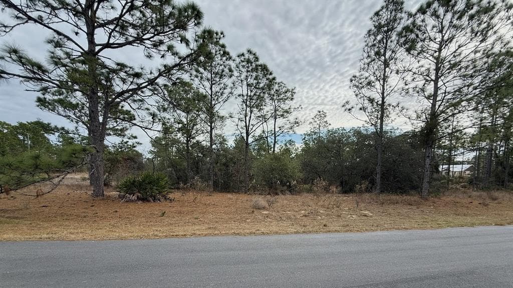 4143 W DORCHESTER CIRCLE DUNNELLON, FL 34433