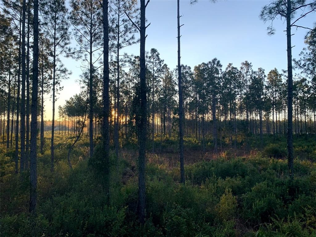 CLYATT ROAD CHIEFLAND, FL 32626