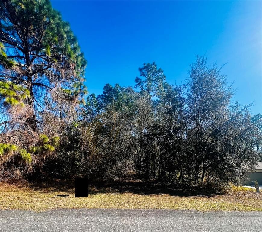 8039 N CREEK WAY CITRUS SPRINGS, FL 34434