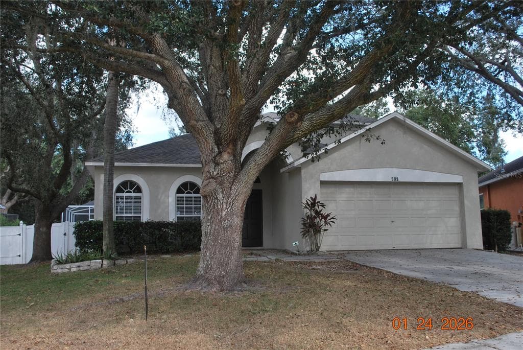 909 GRAND CANYON DRIVE VALRICO, FL 33594