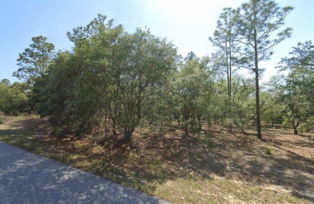 6004 N DARLINGTON DRIVE CITRUS SPRINGS, FL 34434