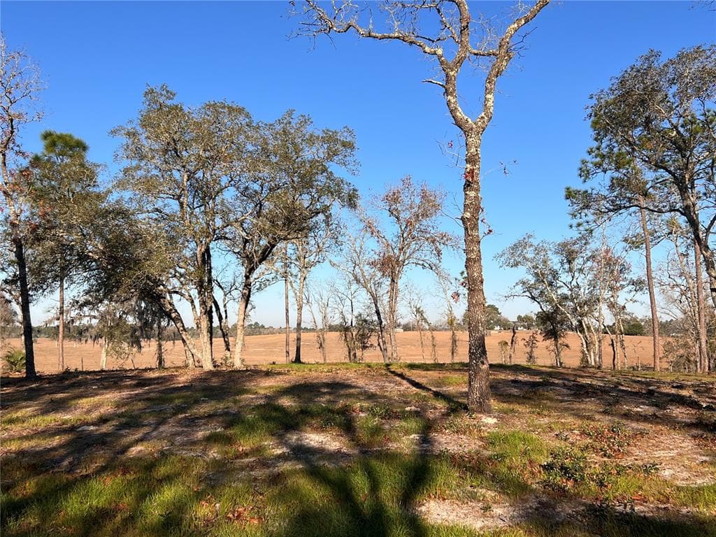 Lot 8 125TH COURT DUNNELLON, FL 34431