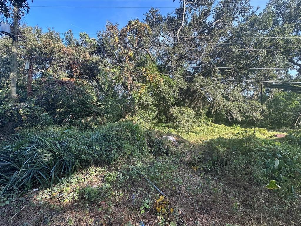 11911 LEROY SHEPPARD ROAD THONOTOSASSA, FL 33592
