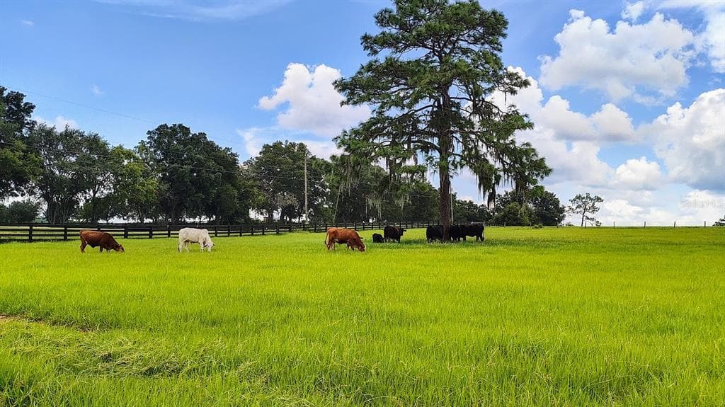 8385 S PLEASANT GROVE ROAD INVERNESS, FL 34452