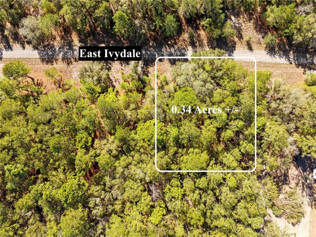 1783 E IVYDALE DRIVE DUNNELLON, FL 34434