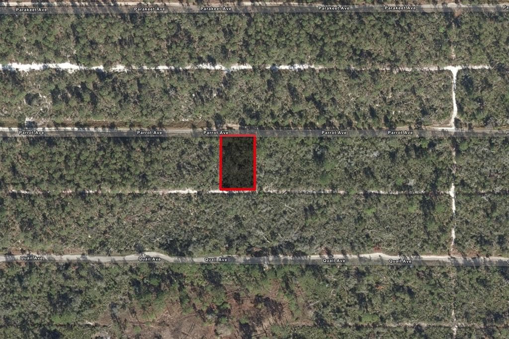 533 PARROT AVENUE SEBRING, FL 33872