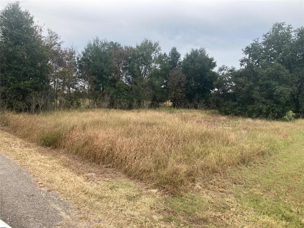 3231 MOUNTAIN LAKE CUTOFF ROAD LAKE WALES, FL 33859
