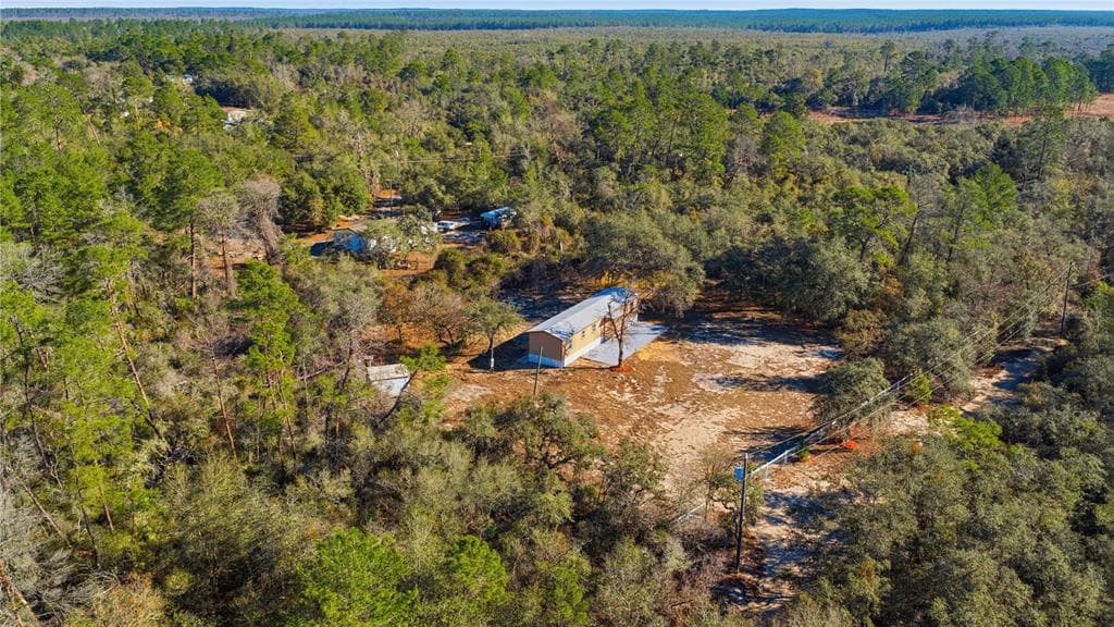 19661 SE 94TH PLACE OCKLAWAHA, FL 32179
