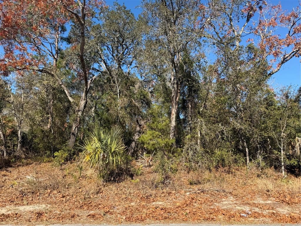 4307 CASTLE AVENUE SPRING HILL, FL 34609