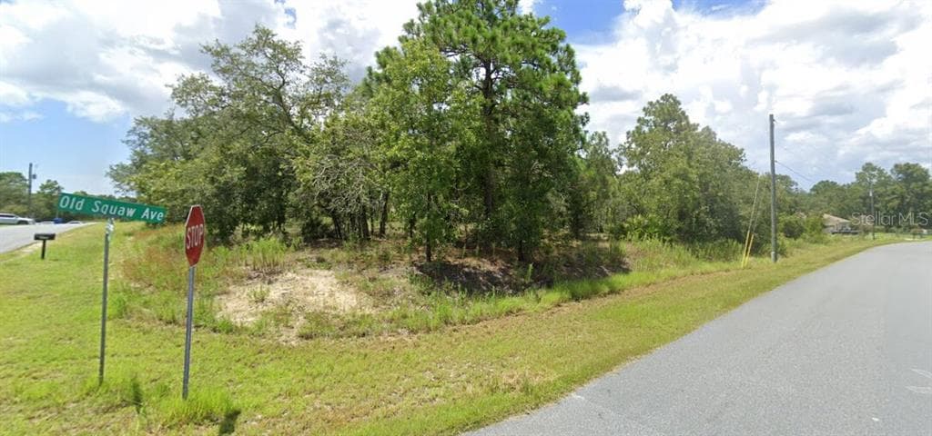 00 OLD SQUAW AVENUE WEEKI WACHEE, FL 34614