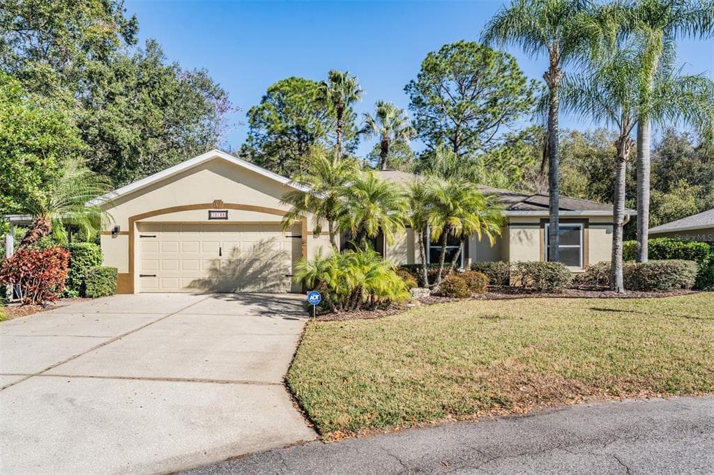 10133 COLLAR DRIVE SAN ANTONIO, FL 33576