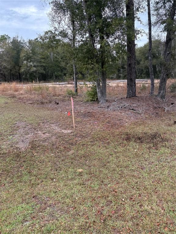 SW 202ND CT &SW 63RD PL DUNNELLON, FL 34434