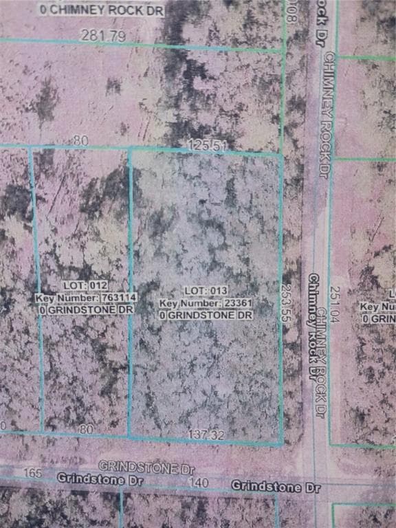GRINDSTONE DRIVE WEBSTER, FL 33597