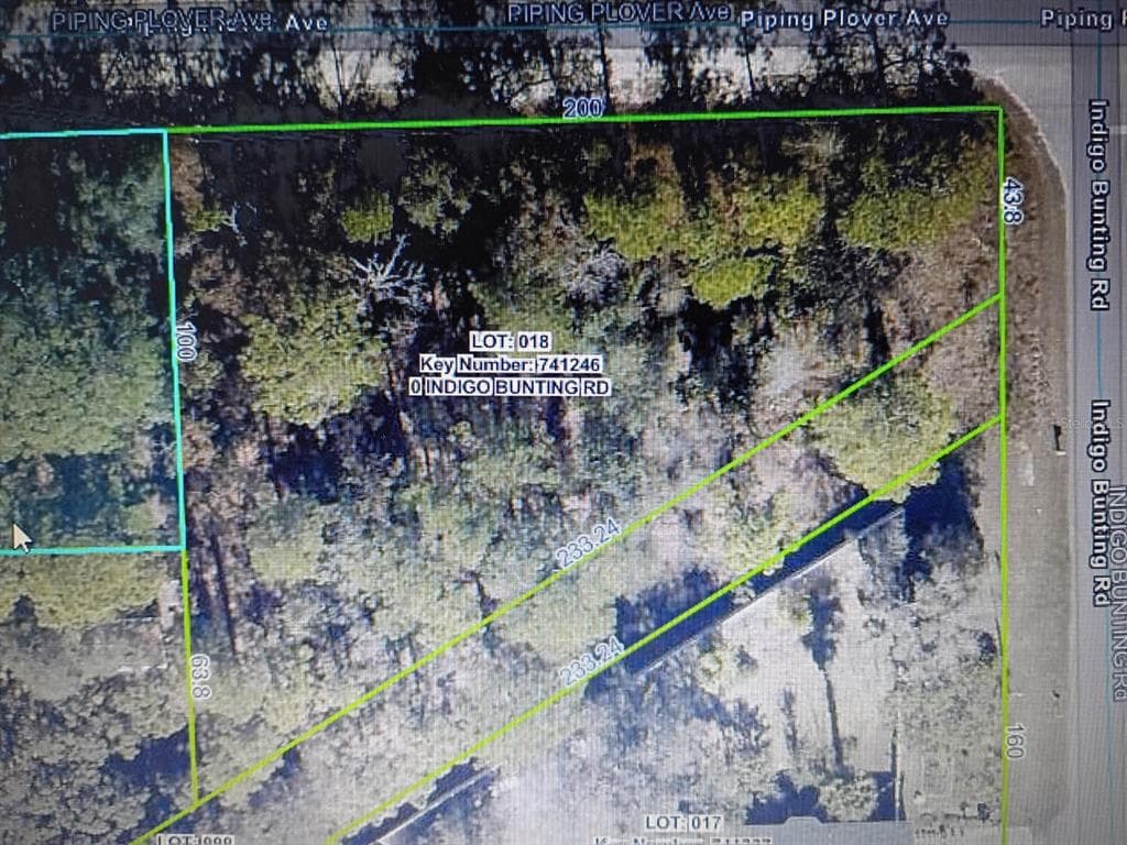 12449 INDIGO BUNTING WEEKI WACHEE, FL 34614