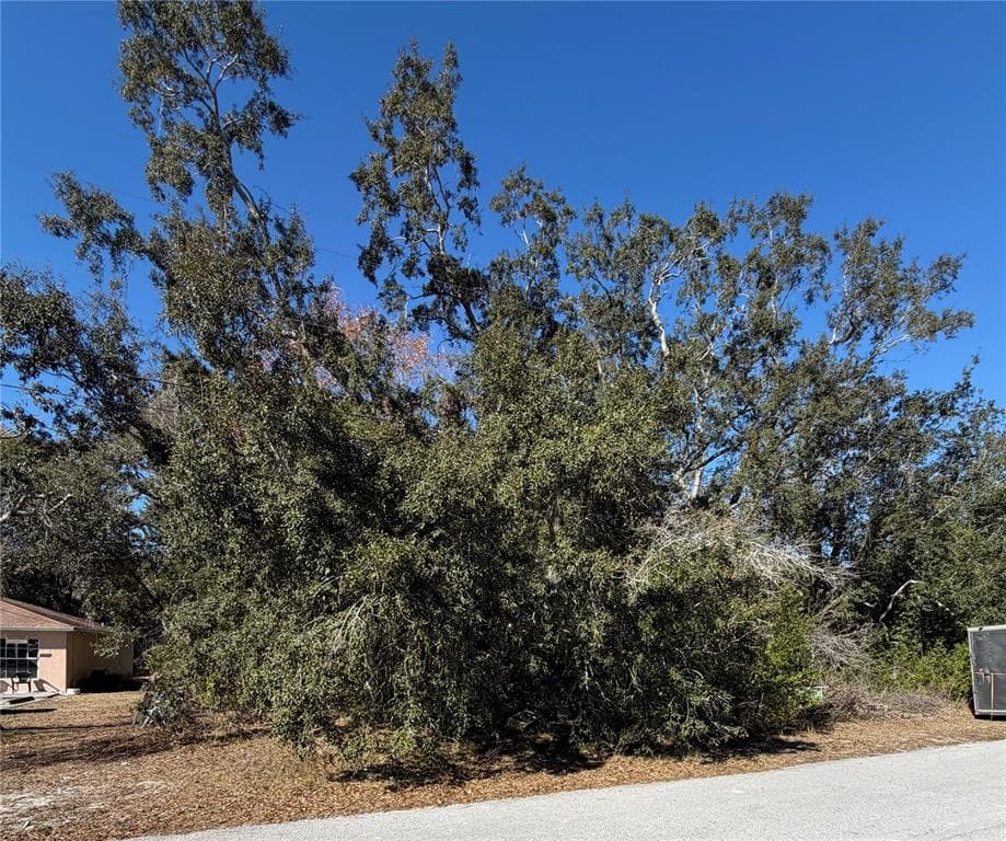 1241 SYLVIA AVENUE SPRING HILL, FL 34606