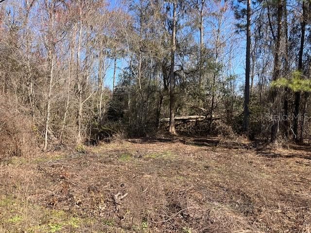1881 HAZELNUT STREET BUNNELL, FL 32110