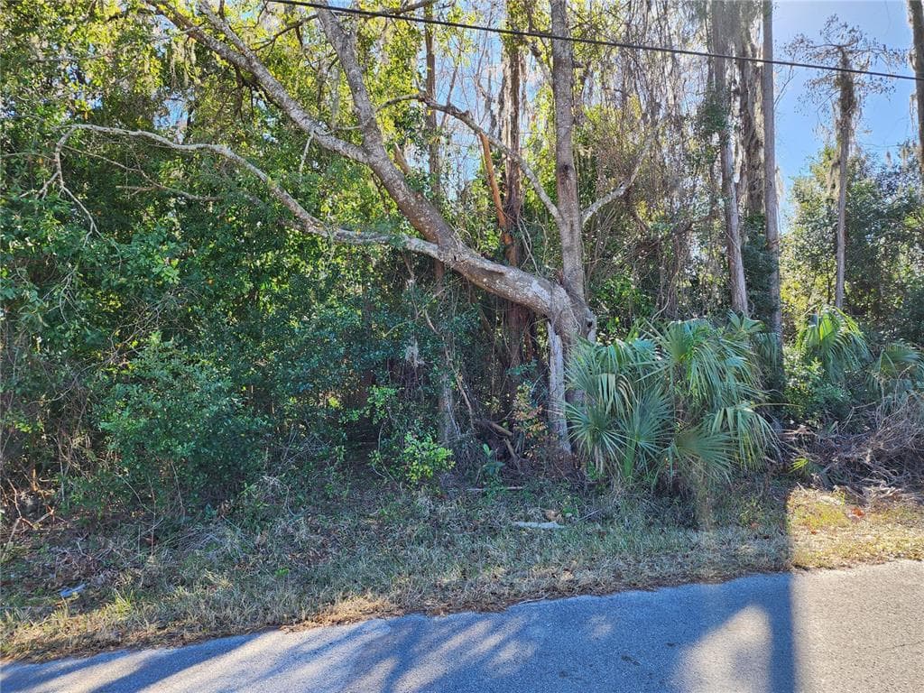 12716 POPPY STREET NEW PORT RICHEY, FL 34654