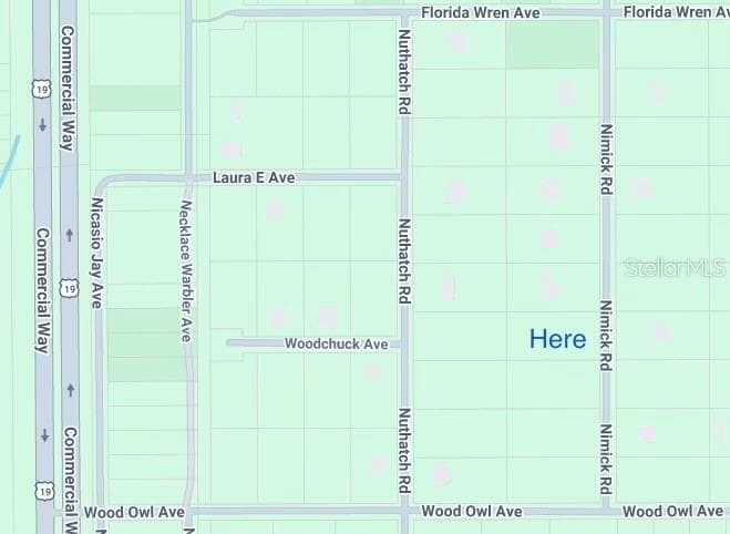 17467 NIMICK ROAD WEEKI WACHEE, FL 34614