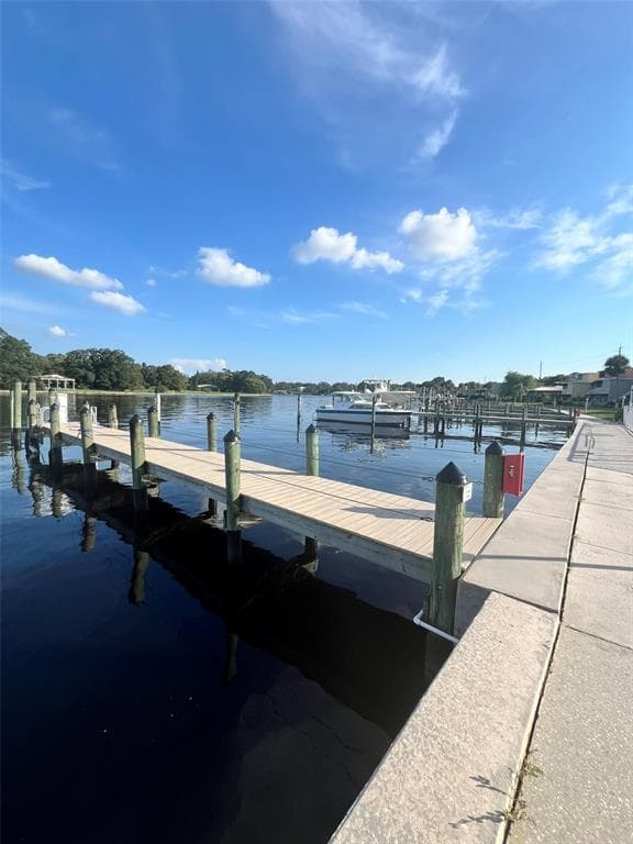 2424 W TAMPA BAY BOULEVARD UNIT L203 TAMPA, FL 33607