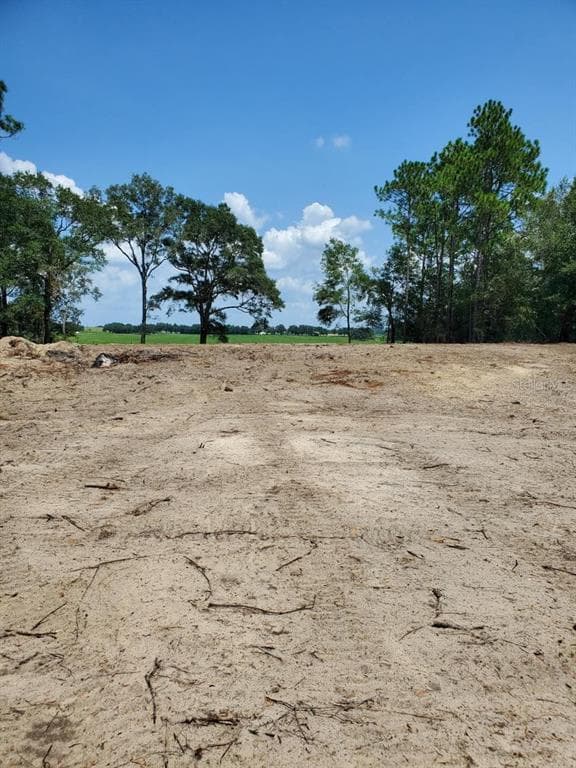 CHILLA DUNNELLON, FL 34431