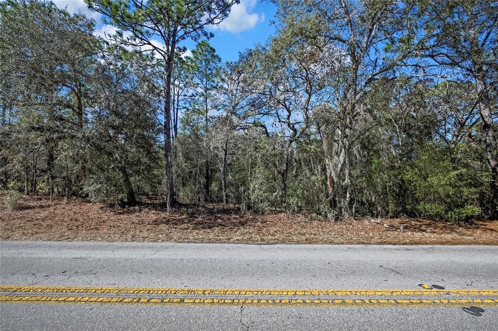 3292 N ANNAPOLIS AVENUE HERNANDO, FL 34442