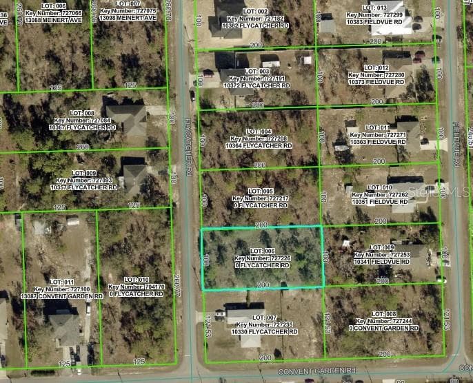 10340 FLYCATCHER ROAD WEEKI WACHEE, FL 34613