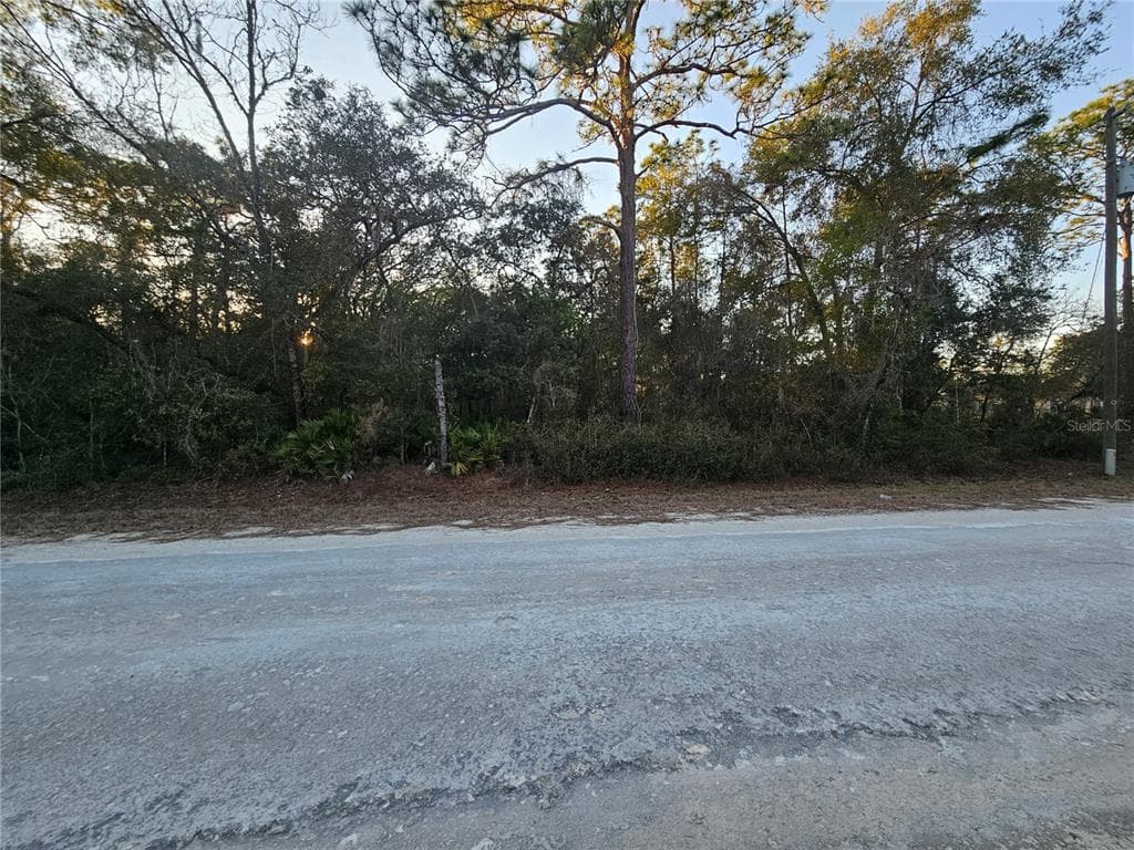 0 ATWOOD DRIVE WEBSTER, FL 33597