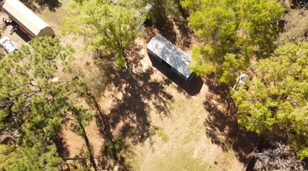 6647 W VAN BUREN DRIVE HOMOSASSA, FL 34448