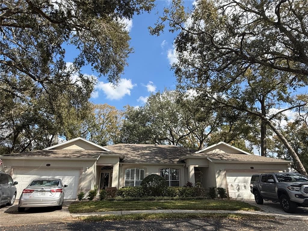 8633 ALEXANDRA ARBOR LANE TEMPLE TERRACE, FL 33637