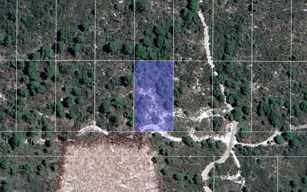 2242 HONEY DEW AVENUE SEBRING, FL 33875