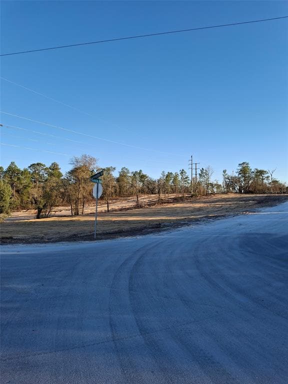 LOT 1 BARNEVELDE ROAD WEEKI WACHEE, FL 34614