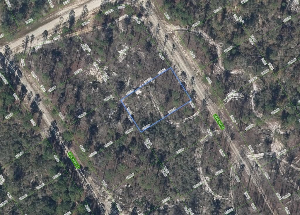 522 DEVOTION DRIVE LAKE PLACID, FL 33852
