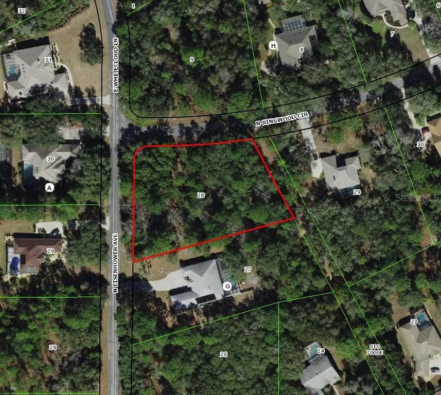 4001 N RINGWOOD CIRCLE HERNANDO, FL 34442