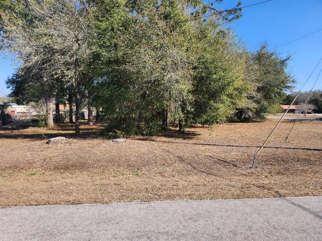 SE 97TH TER SUMMERFIELD, FL 34491